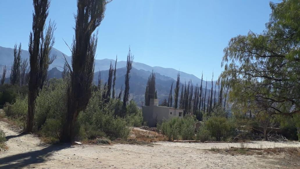 Cabanas La Esther Tilcara Szoba fotó